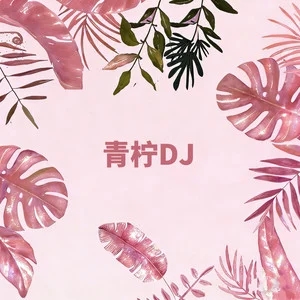 万能公式《青柠 (DJ版)》[内嵌封面歌词][臻品母带/FLAC/MP3-320K]-无损音乐磁场