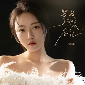等我彻底忘记-洋澜一-无损音乐磁场