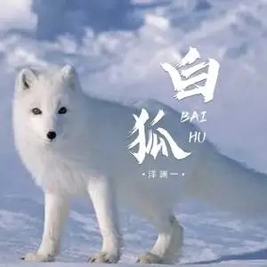 洋澜一《白狐》[无损FLAC/MP3-320K]-无损音乐磁场
