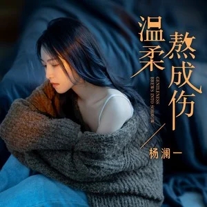 洋澜一《温柔熬成伤》[内嵌封面歌词][FLAC/MP3-320K]-无损音乐磁场