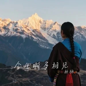 林栖《今生啊多相见 (深情版)》[无损FLAC/MP3-320K]-无损音乐磁场