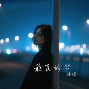 林栖《最真的梦 (女生深情版)》：百转千回后，才知情深意浓-无损音乐磁场