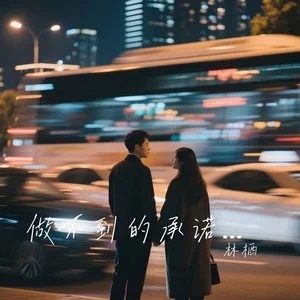 林栖《做不到的承诺就不要对我说》[FLAC/MP3-320K]-无损音乐磁场