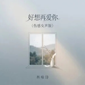 林咏诗《好想再爱你 (伤感女声版)》[无损FLAC/MP3-320K]-无损音乐磁场