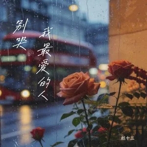 赵十三《别哭我最爱的人》[FLAC/MP3-320K]-无损音乐磁场