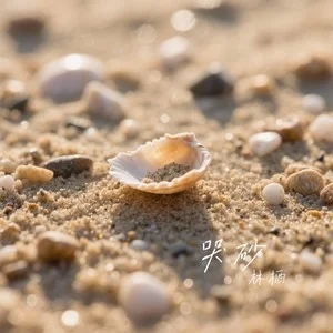 林栖《哭砂》[无损FLAC/MP3-320K]-无损音乐磁场