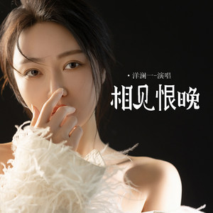 洋澜一《相见恨晚》[FLAC/MP3-320K]-无损音乐磁场