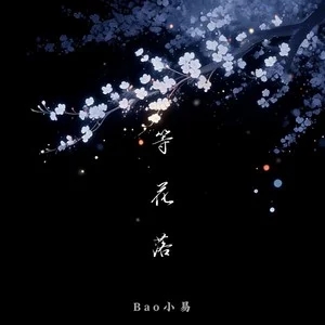 Bao小易《等花落》[内嵌封面歌词][无损FLAC/MP3-320K]-无损音乐磁场