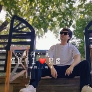 王羽泽《小蒙啊小蒙你让木生心好疼》[内嵌封面歌词][FLAC/MP3-320K]-无损音乐磁场