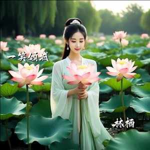 林栖《一笑倾城 (此生无憾)》[无损FLAC/MP3-320K]-教程库