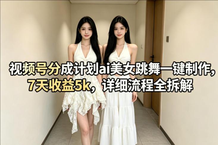 视频号分成计划AI美女跳舞一键制作，详细流程全拆解-教程库