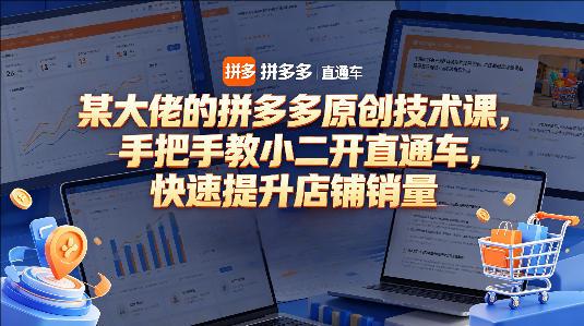 某大佬的拼多多原创技术课，手把手教小二开直通车-教程库