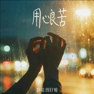 图钉姐Official《用心良苦 (图钉姐版)》[无损FLAC/MP3-320K]-无损音乐磁场
