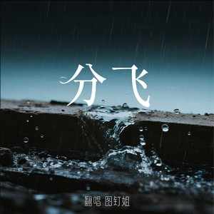 图钉姐Official《分飞 (图钉姐版)》｜一开口，唱碎多少爱而不得的心-无损音乐磁场