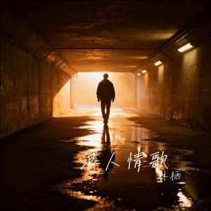 林栖《浪人情歌 (深情版)》[无损FLAC/MP3-320K]-教程库