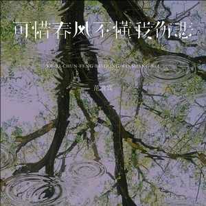 范贵宾《可惜春风不懂我伤悲》｜单曲循环中~句句都是心碎-无损音乐磁场