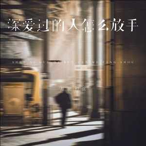 万能和弦《深爱过的人怎么放手》｜一句“怎么放手”，藏着多少人没说出口的不甘-无损音乐磁场