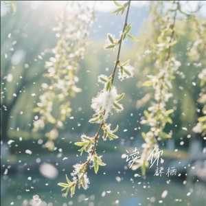 林栖《读你》[无损FLAC/MP3-320K]-无损音乐磁场