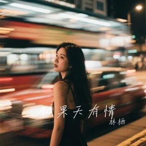 林栖《如果天有情 (深情版)》|一颗痴心,一段赤情,此情不渝-无损音乐磁场