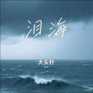 大头针《泪海 (你怎么舍得让我的泪流向海)》[无损FLAC/WAV/MP3-320K]-无损音乐磁场