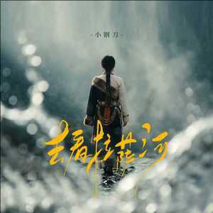 小钢刀《去看拉萨河》[无损FLAC/MP3-320K]-无损音乐磁场