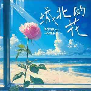 王宇宙Leto/乔浚丞《城北的花》|花开几冬夏,念你在城南-无损音乐磁场